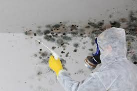 Best Crawl Space Mold Remediation  in Lindenwold, NJ